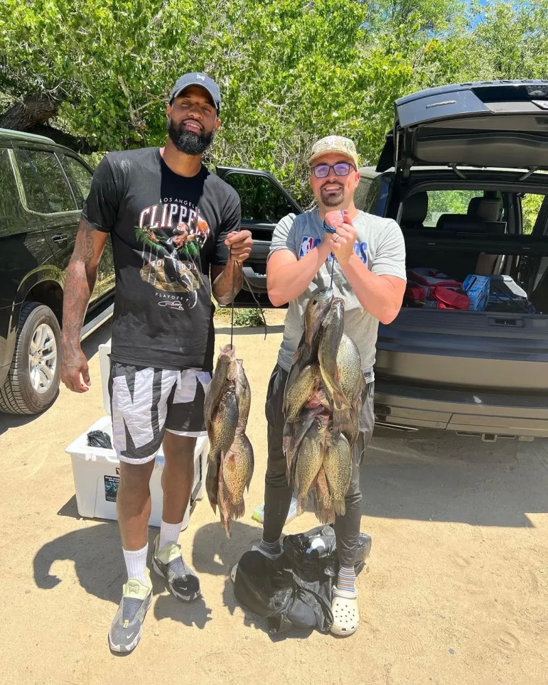 三大动态对 三大动态对